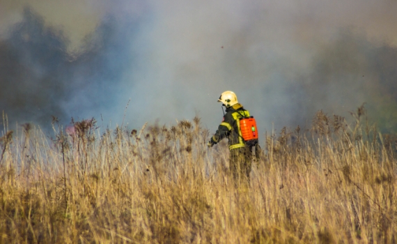 Группа лесных пожарных из Карелии отправилась тушить огонь в Забайкальском крае