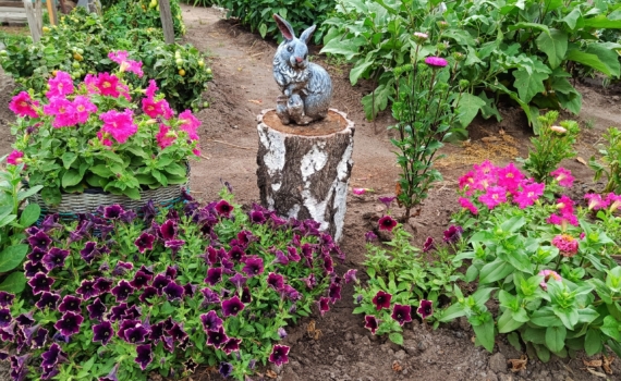 Эти цветы сделают ваши помидоры здоровее и слаще без химии, а грядки — красивее: посадите рядом Эти цветы сделают ваши помидоры здоровее и слаще без химии, а грядки — красивее: посадите рядом